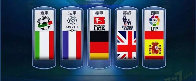 教练在此次 教练在此次